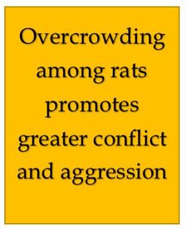 Overcrowing causes conflict and aggression